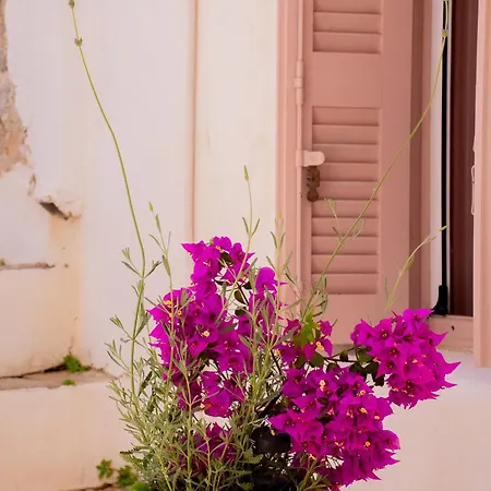 Picture Perfect Traditional Casa de Férias